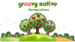 groovy native logo
