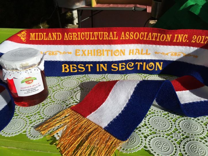 18951185_722600971245671_6680357265638290770_n (1)